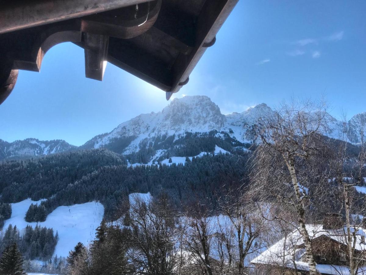 Les Jumelles Villa Gstaad Exterior photo
