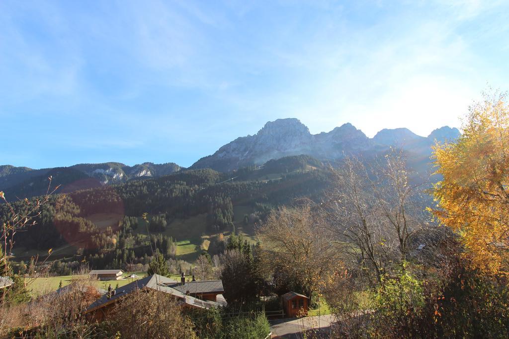 Les Jumelles Villa Gstaad Room photo